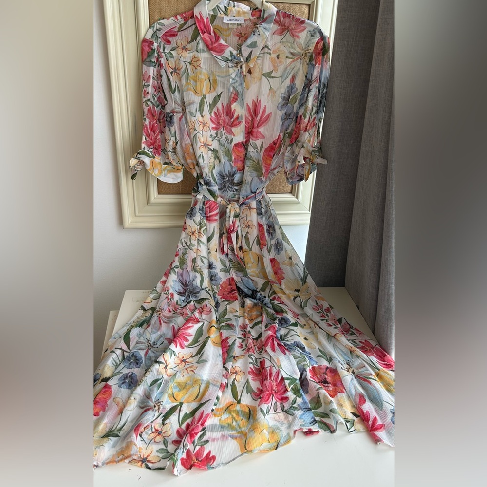 Calvin Klein Pink Red Dolman Sleeve Maxi Dress